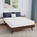 Nasturtium 8" Bamboo Charcoal Infused Memory Foam