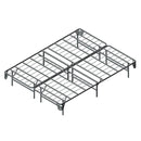 Framos Silver Base Foundation - Size Options