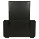 Leandro Dresser with Mirror