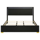 Marceline Panel Bed with LED Lighting