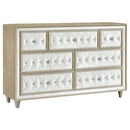 Antonella Dresser