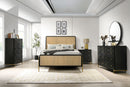 Arini Dresser with Mirror