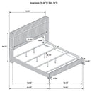 Lucia Wingback Bed