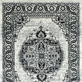 Serang 5' X 7' Area Rug