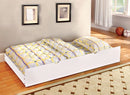 OMNUS Trundle