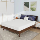 Nasturtium 8" Bamboo Charcoal Infused Memory Foam