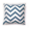 ZOE 18" X 18" Pillow (2/CTN)