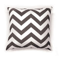 ZOE 18" X 18" Pillow (2/CTN)