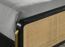 Arini Panel Bed