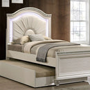 ALLIE Twin & Full Rose Gold Bed