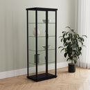 Aero Curio Cabinet with LED Lighting