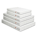 Daisy White 8" Bunkie Board Combo Mattress