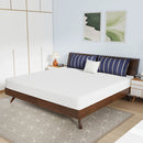 Nasturtium 8" Bamboo Charcoal Infused Memory Foam