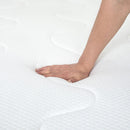 Catmint 10" Innerspring Mattress