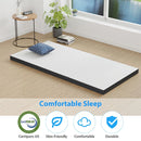 Hollyhock 3" Twin-XL Tri-Fold Memory Foam Topper