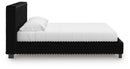 Zuraleus Bed