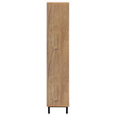 Teller Shoe Cabinet