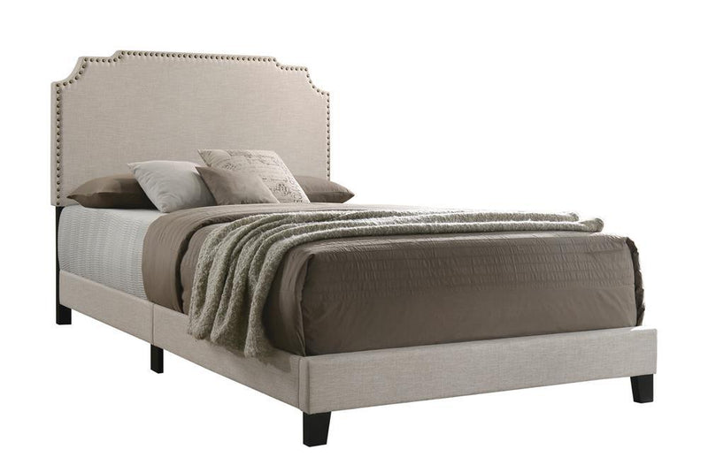 Tamarac Upholstered Nailhead Full Bed Beige - Plush Home Furniture (CA) 
