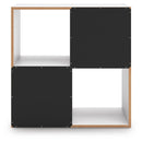 Onita Four Cube Organizer