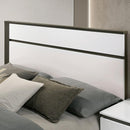 Birsfelden Bed
