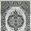 Serang 5' X 7' Area Rug