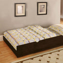 Omnus Trundle