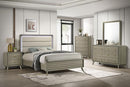Rainier Bed
