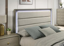 Rainier Bed