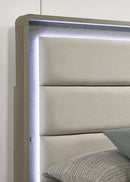 Rainier Bed