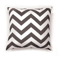 ZOE 18" X 18" Pillow (2/CTN)