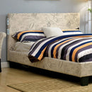 Evans Queen & Full Bed