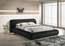 Palmdale Queen/Eastren King Bed