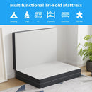 Hollyhock 3" Twin-XL Tri-Fold Memory Foam Topper
