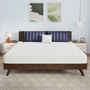 Nasturtium 8" Bamboo Charcoal Infused Memory Foam