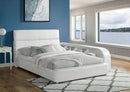 Vodice Bookcase