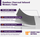 Nasturtium 12" Queen Bamboo Charcoal Infused Memory Foam
