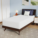 Nasturtium 12" Twin Bamboo Charcoal Infused Memory Foam