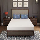 Forsythia 8" Full Green Tea Gel Memory Foam
