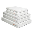 Daisy White 8" Bunkie Board Combo Mattress