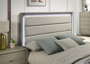 Rainier Queen Bedroom Set