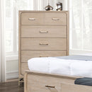 Sandnes Chest