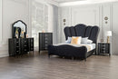 Melodi Parc Chest